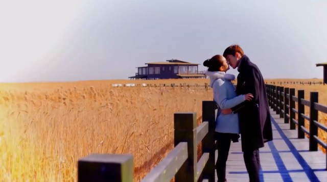 A young man and woman kiss on a path through golden grain.