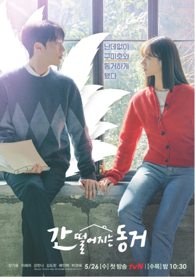 Poster for korean drama my roommate is a gumiho featuring Jang Ki Yong and Lee Hye Ri