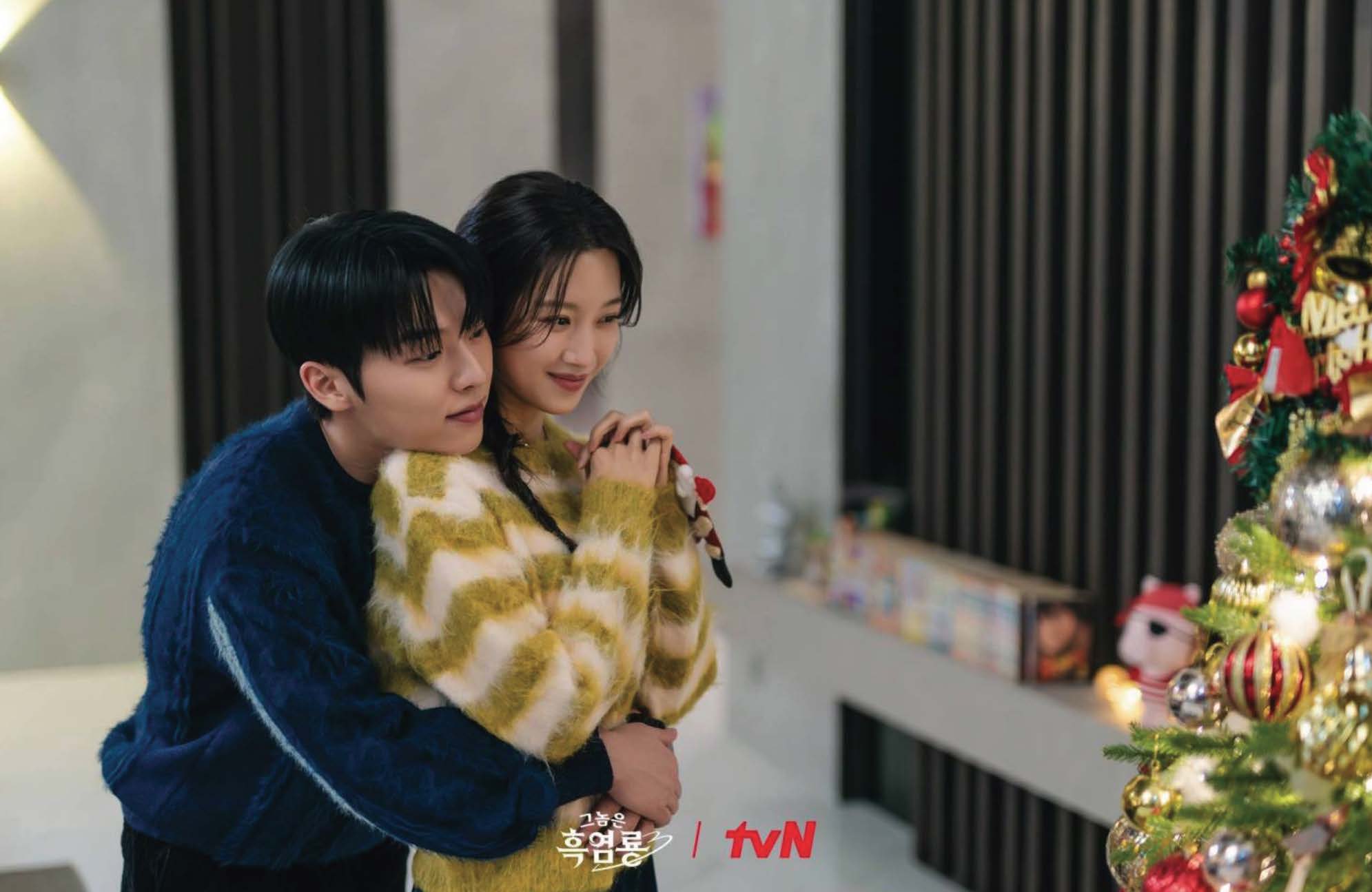 Publicity photo for the Korean Drama My Dearest Nemesis showing Choi Hyun-wook and Moon Ga-young.